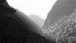 居家全身燃脂训练，无需器械